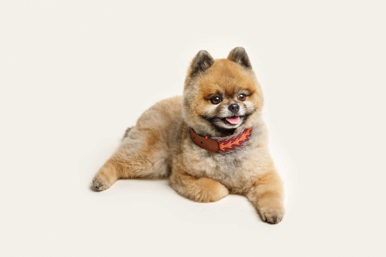 Halsband "Peruvian Arrow Orange" von Buddy's Dogwear – Bild 6