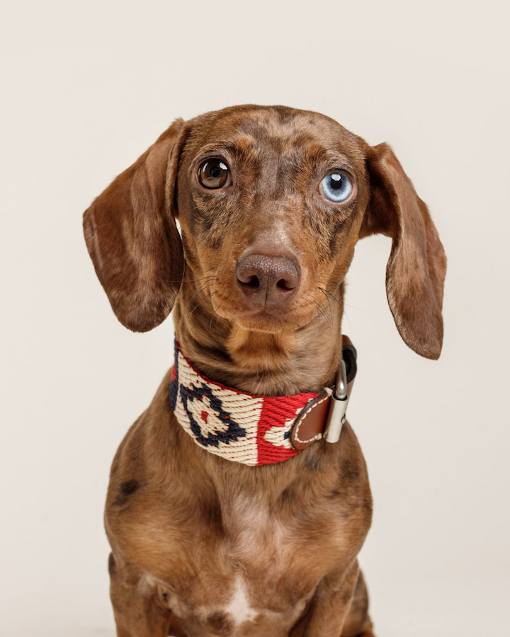 Halsband "Peruvian Indian Red" von Buddys Dogwear – Bild 2