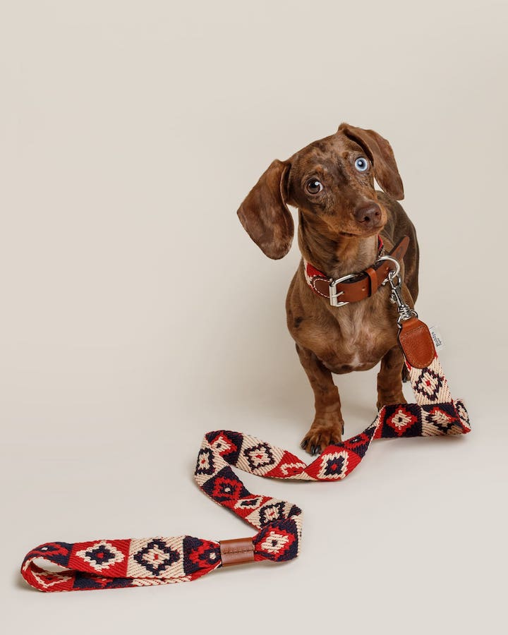 Halsband "Peruvian Indian Red" von Buddys Dogwear – Bild 7