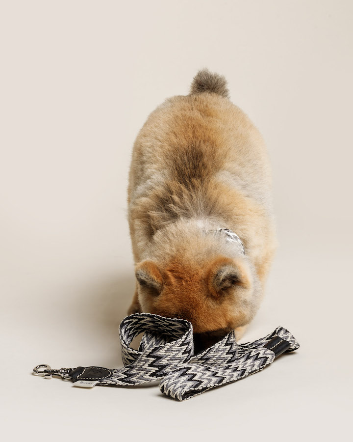 Halsband "Peruvian Black" von Buddy's Dogwear – Bild 5