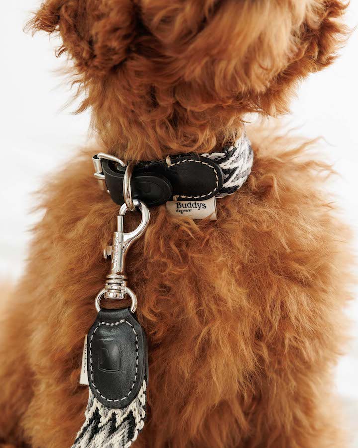 Halsband "Peruvian Black" von Buddy's Dogwear – Bild 3