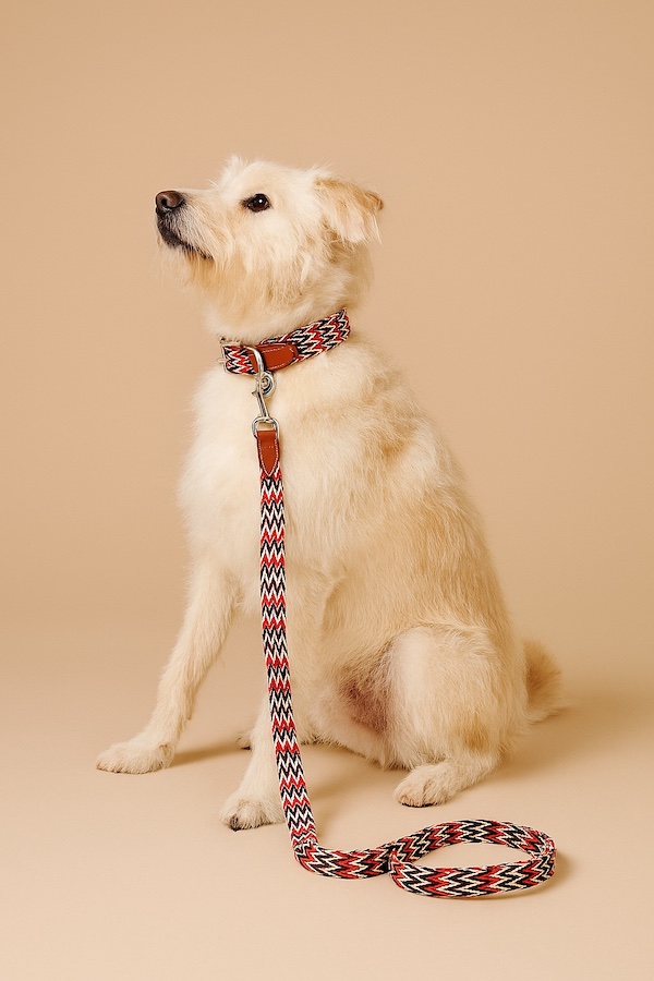Leine "Peruvian Red" von Buddy's Dogwear – Bild 3